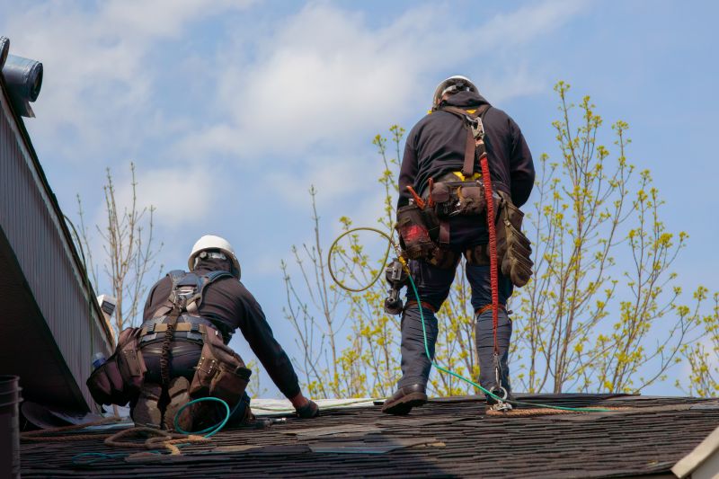 Professional Roof Inspection