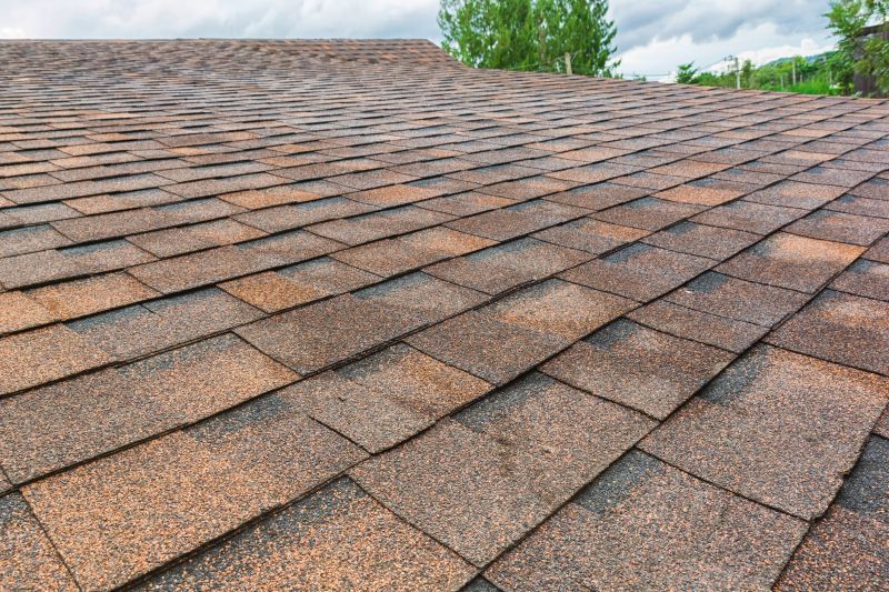 Roof Cleaning and Debris Removal